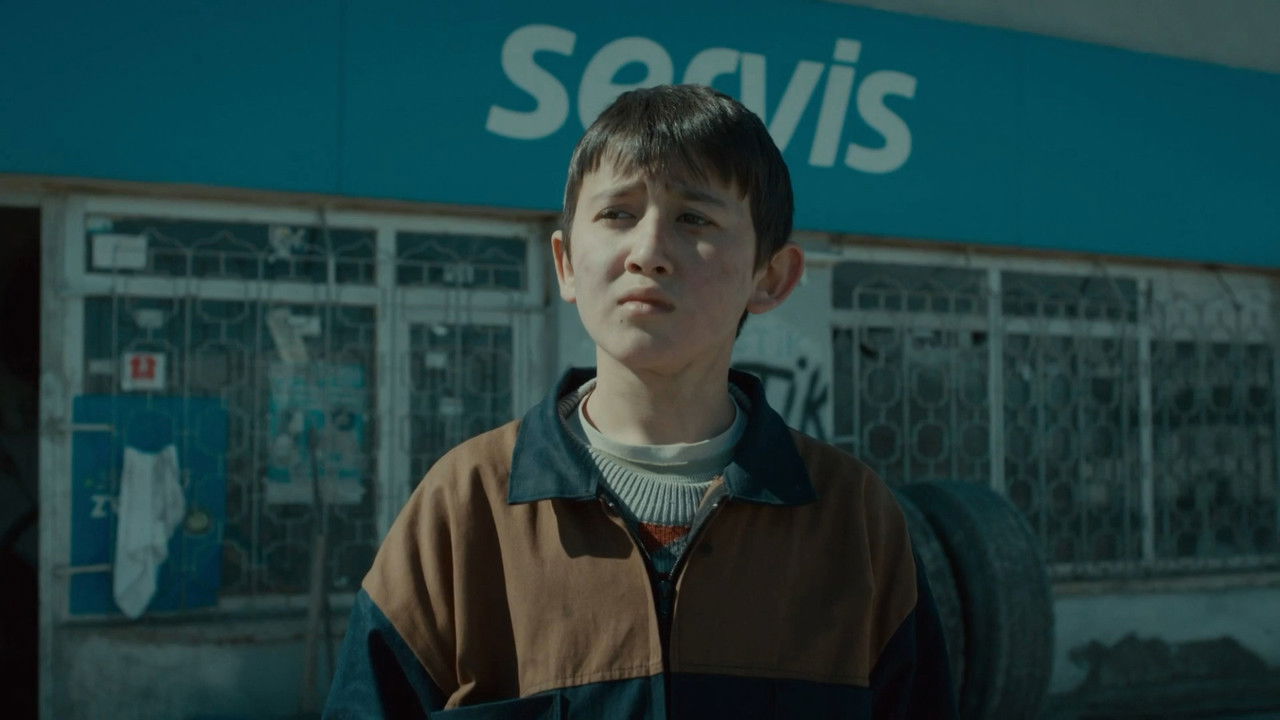 Blue Bicycle backdrop