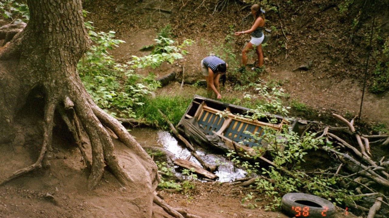LOVE IN PLAIN SIGHT backdrop