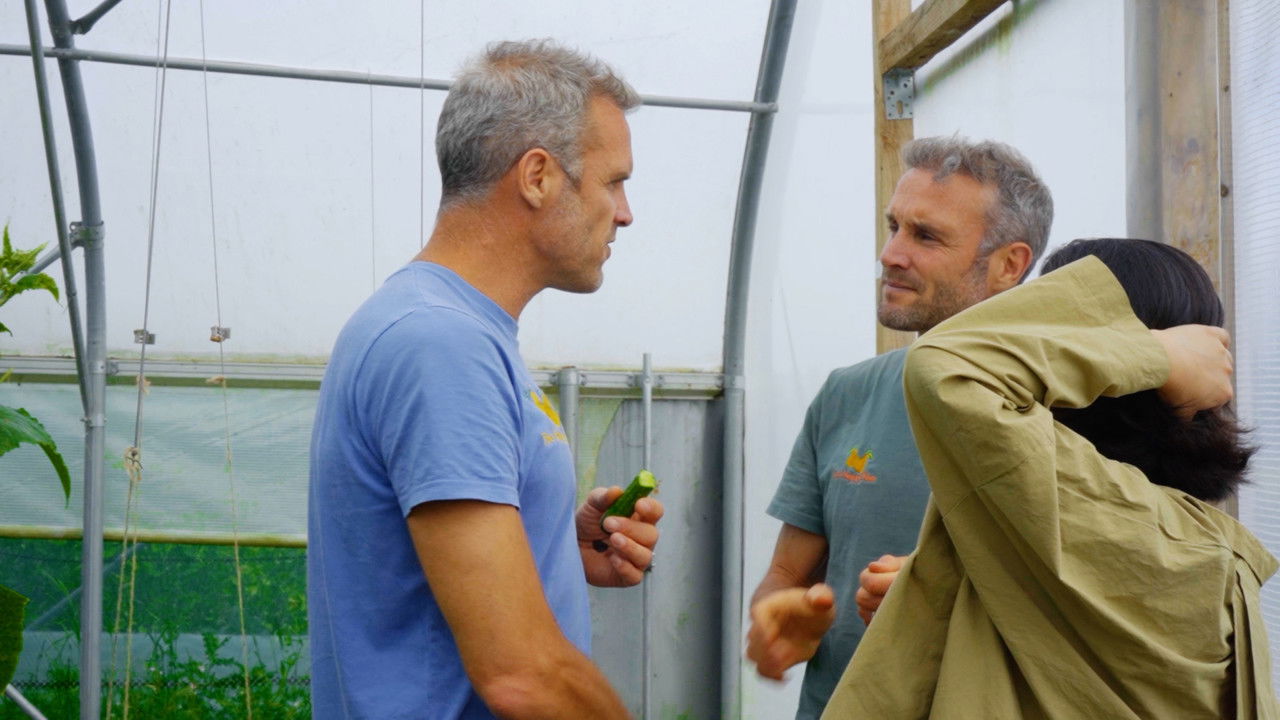 The Happy Pear: Living Like You're Going To Die backdrop