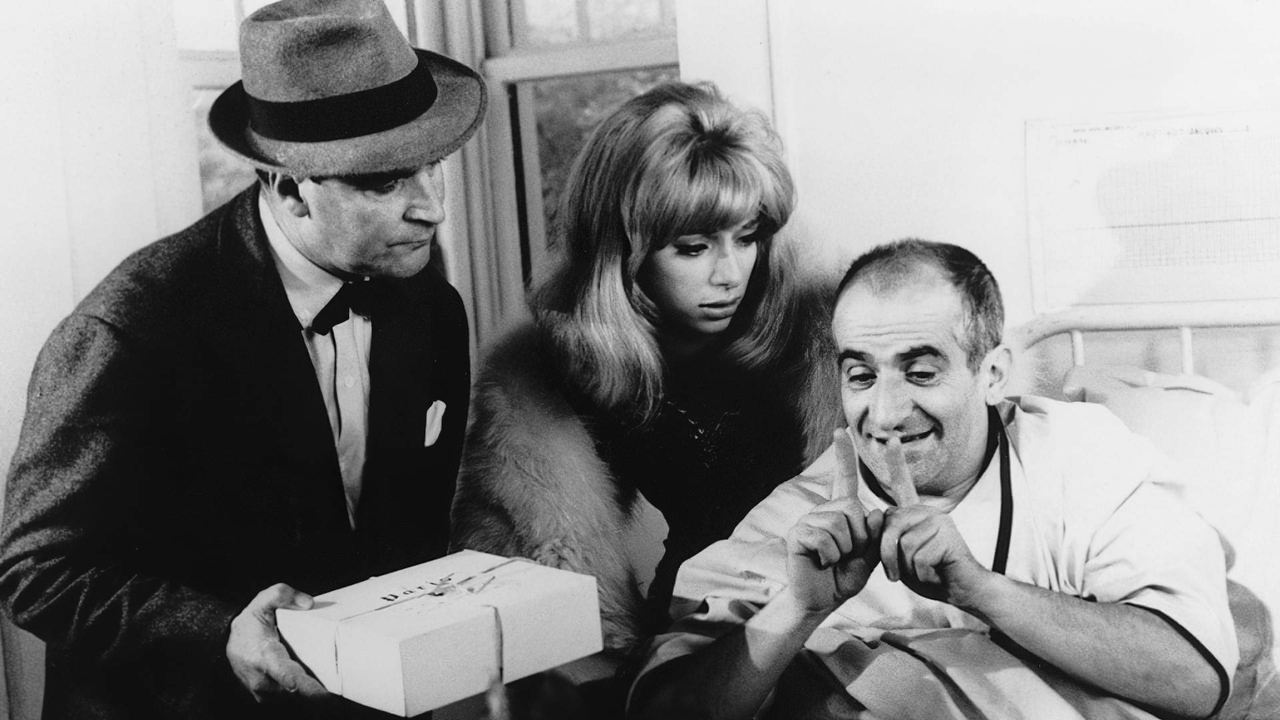 Dandelions by the Roots backdrop