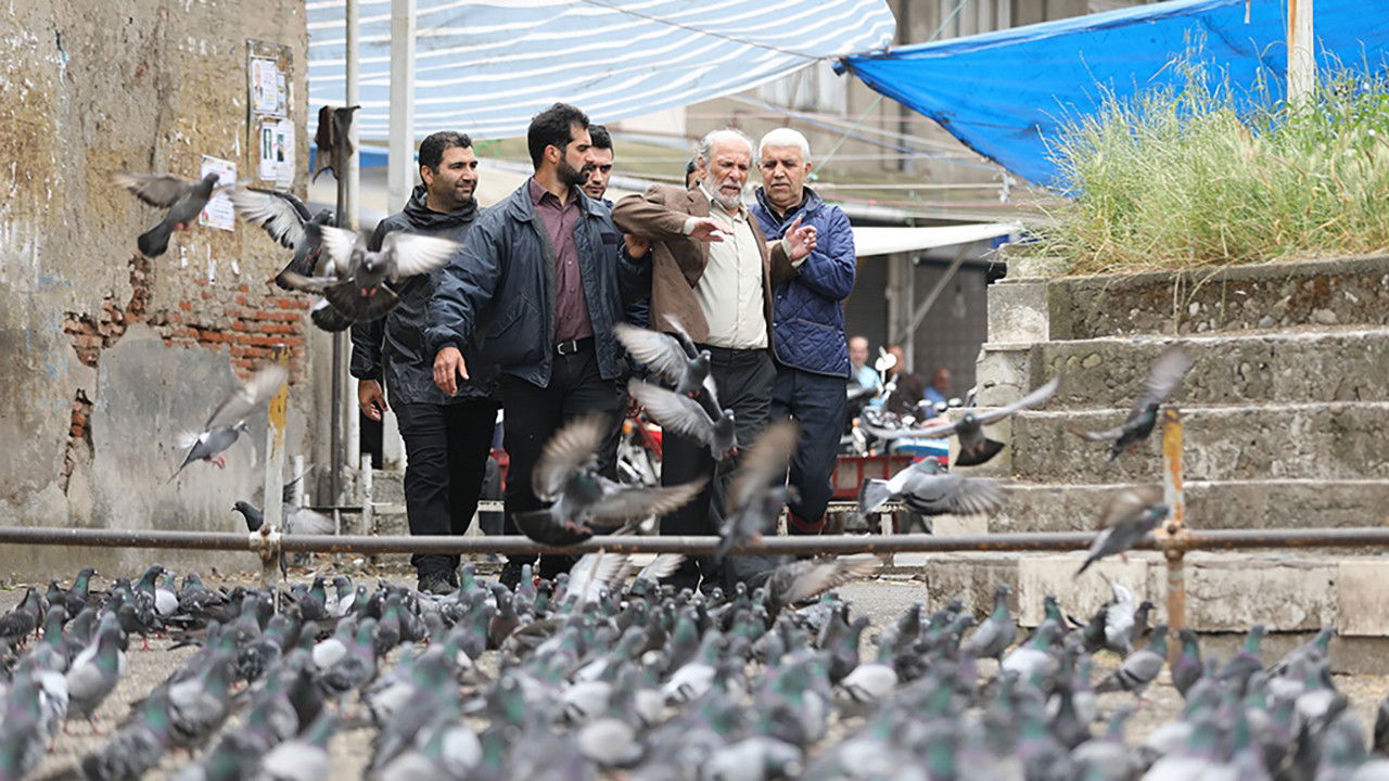 Silent Glory backdrop