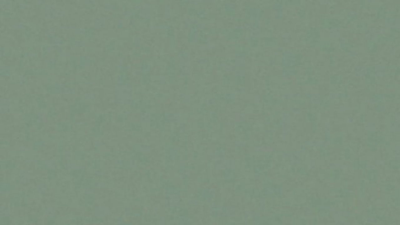 Gina Telaroli backdrop