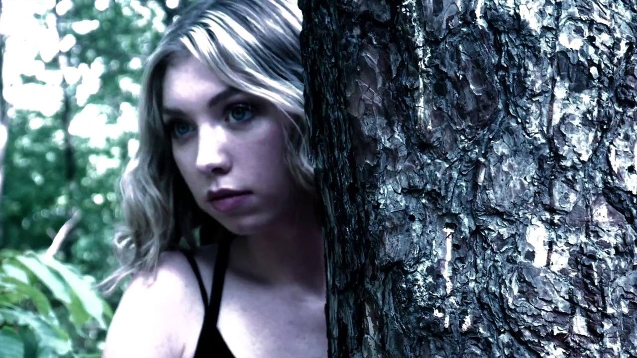 North Woods backdrop