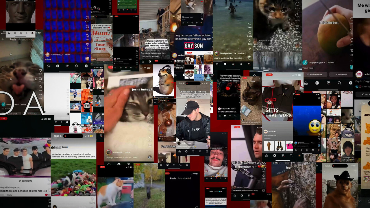 @ilovethettc102 backdrop