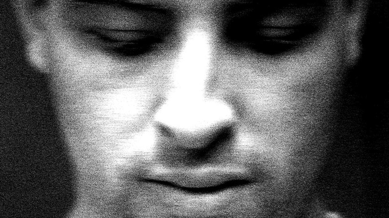 Chien perdu backdrop