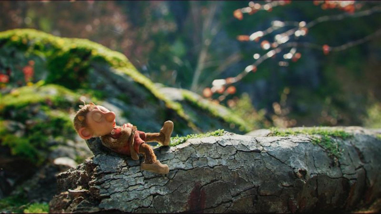 Curly Burly backdrop