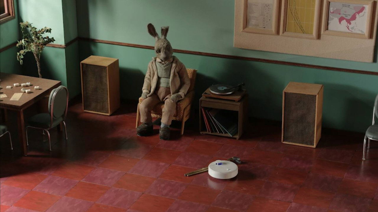 Tennis, Oranges backdrop