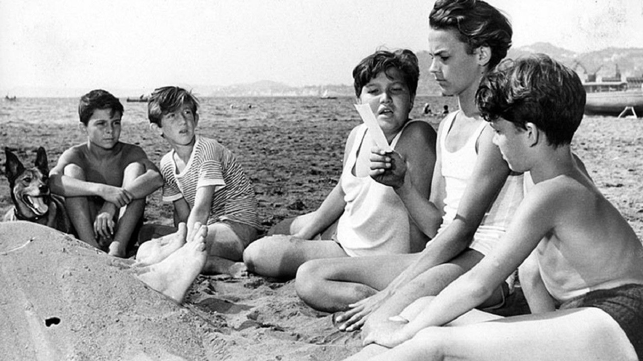 Vacation with a Gangster backdrop