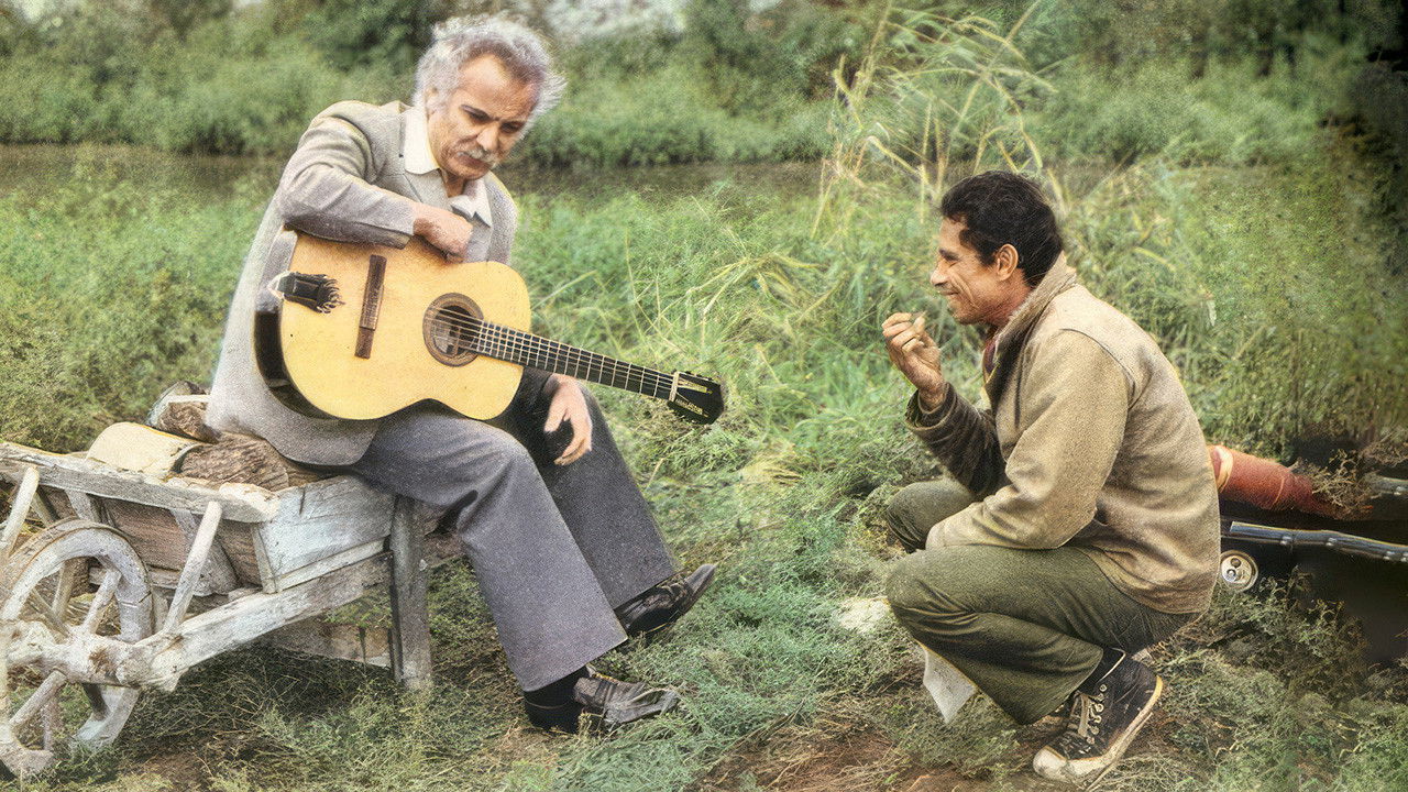 Pourquoi t'as les cheveux blancs... backdrop