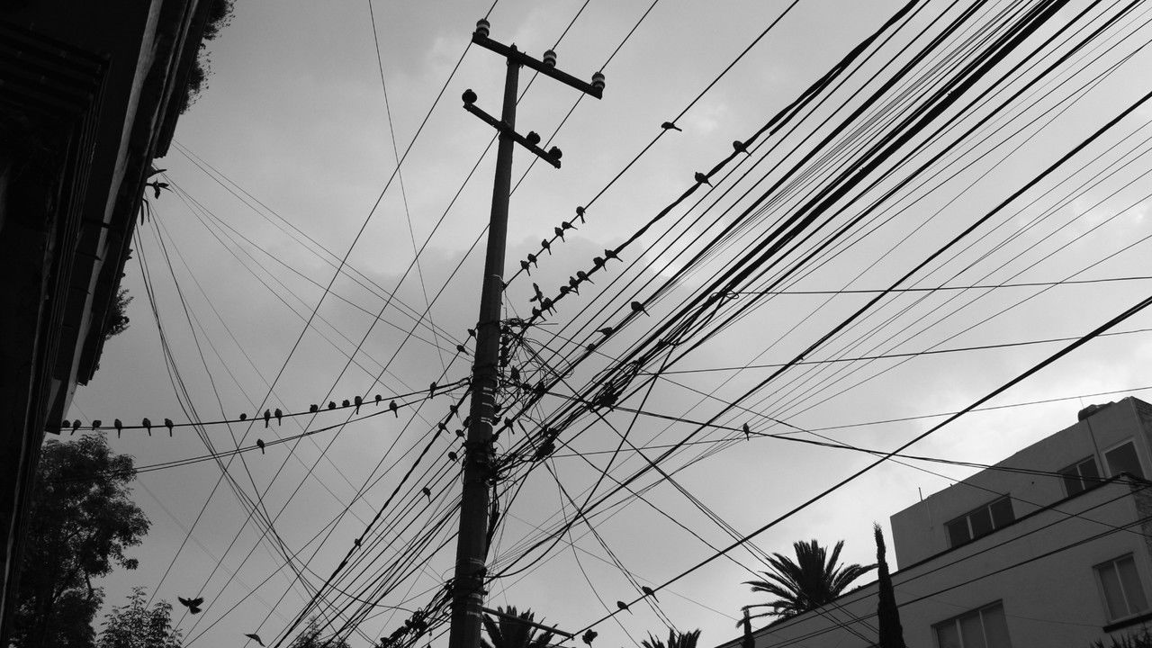 Sin Ventura backdrop