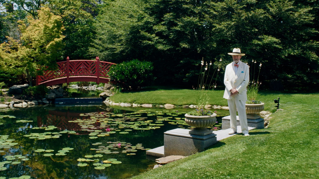 Amidst All This Beauty backdrop