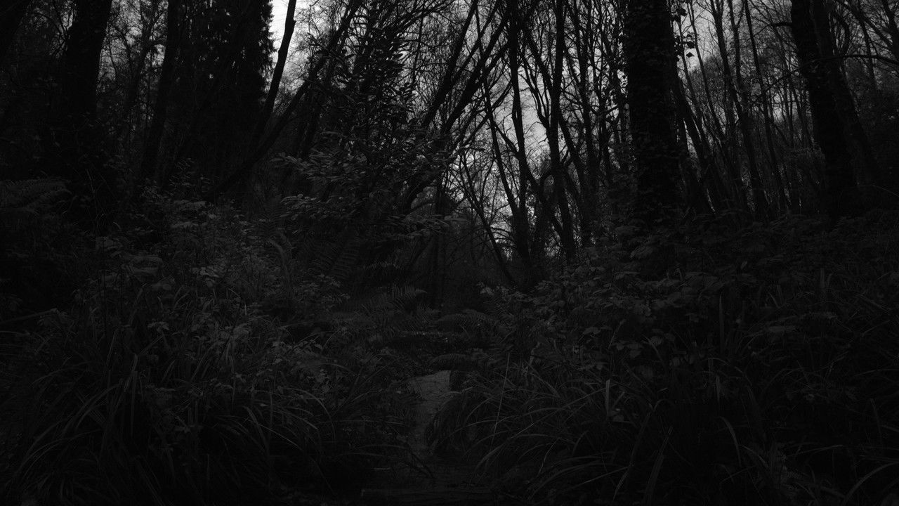 A Deed Without A Name backdrop