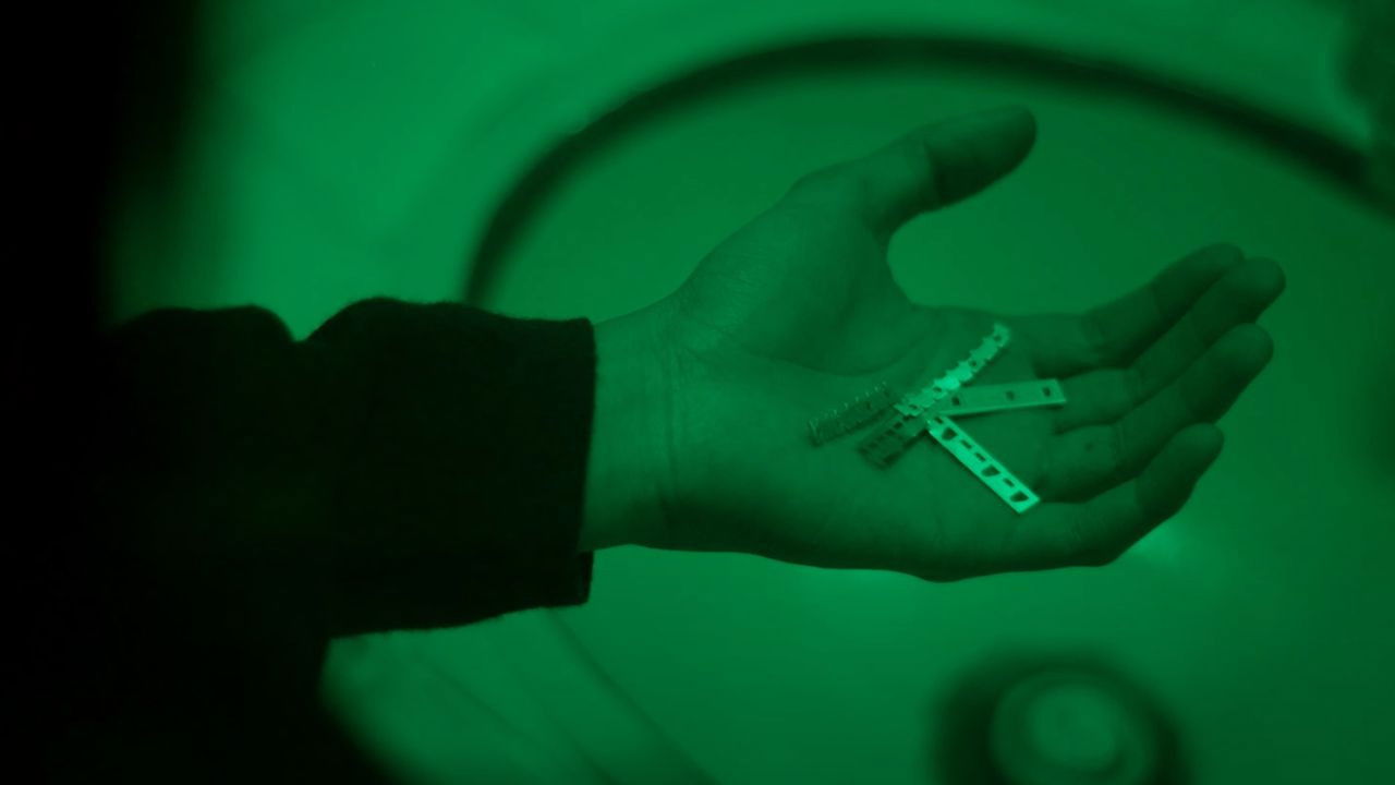 From the Ashes backdrop