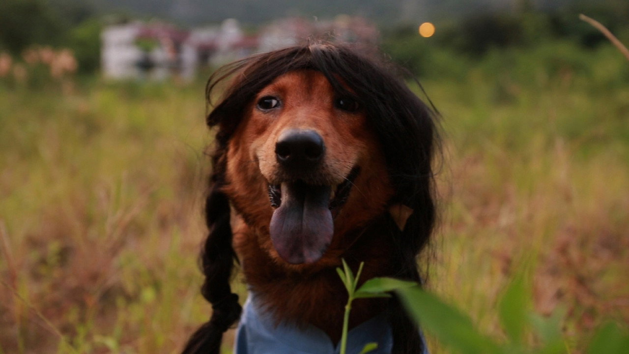 Carry On Carry Me backdrop