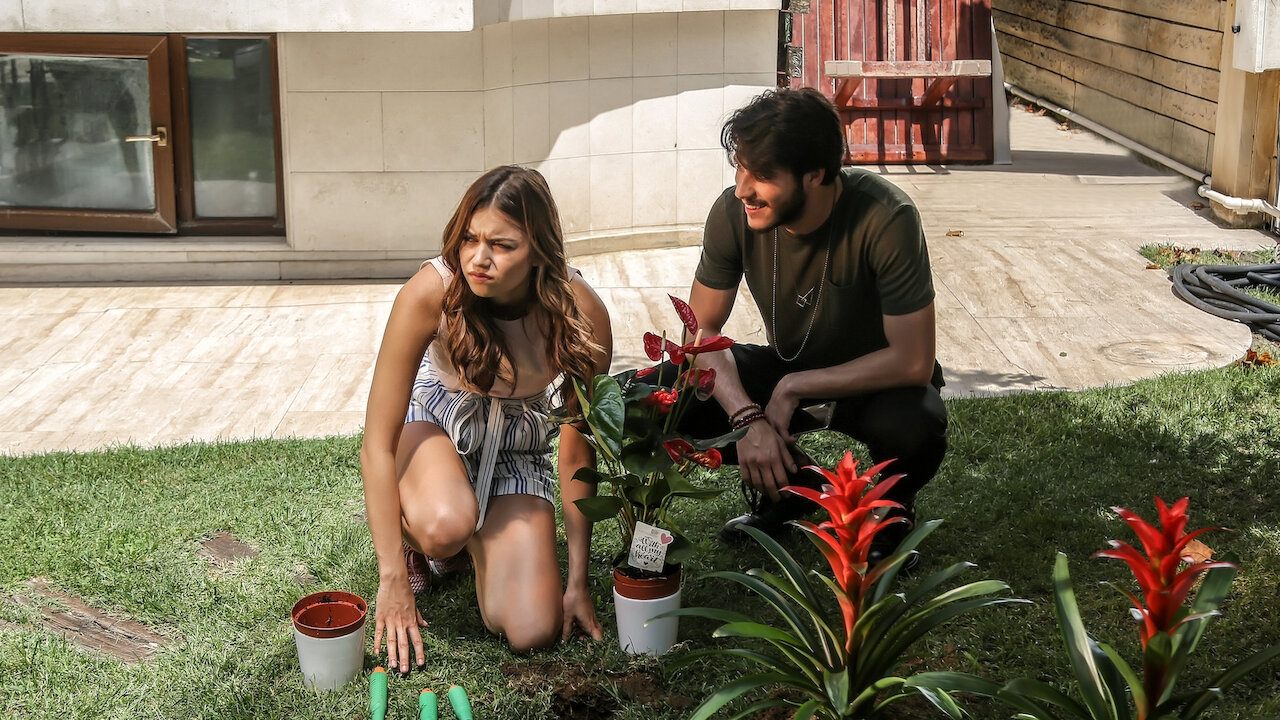 Is This Love? backdrop