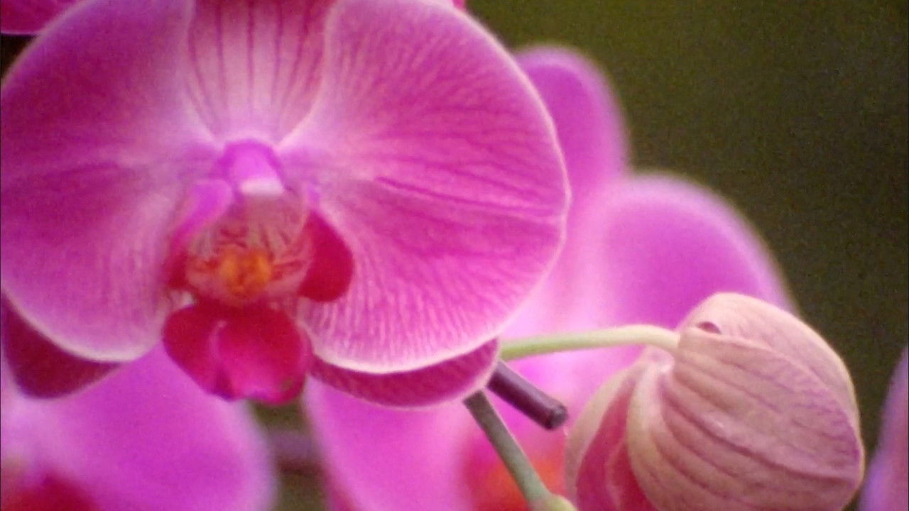 Breaking Myths backdrop