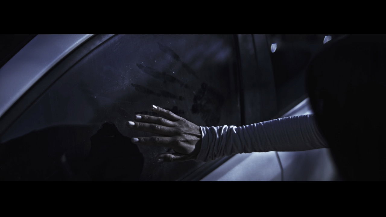 The Black Dog backdrop