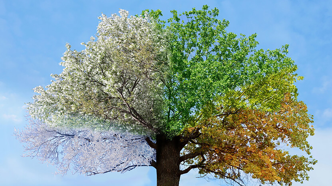 De Seizoenen backdrop