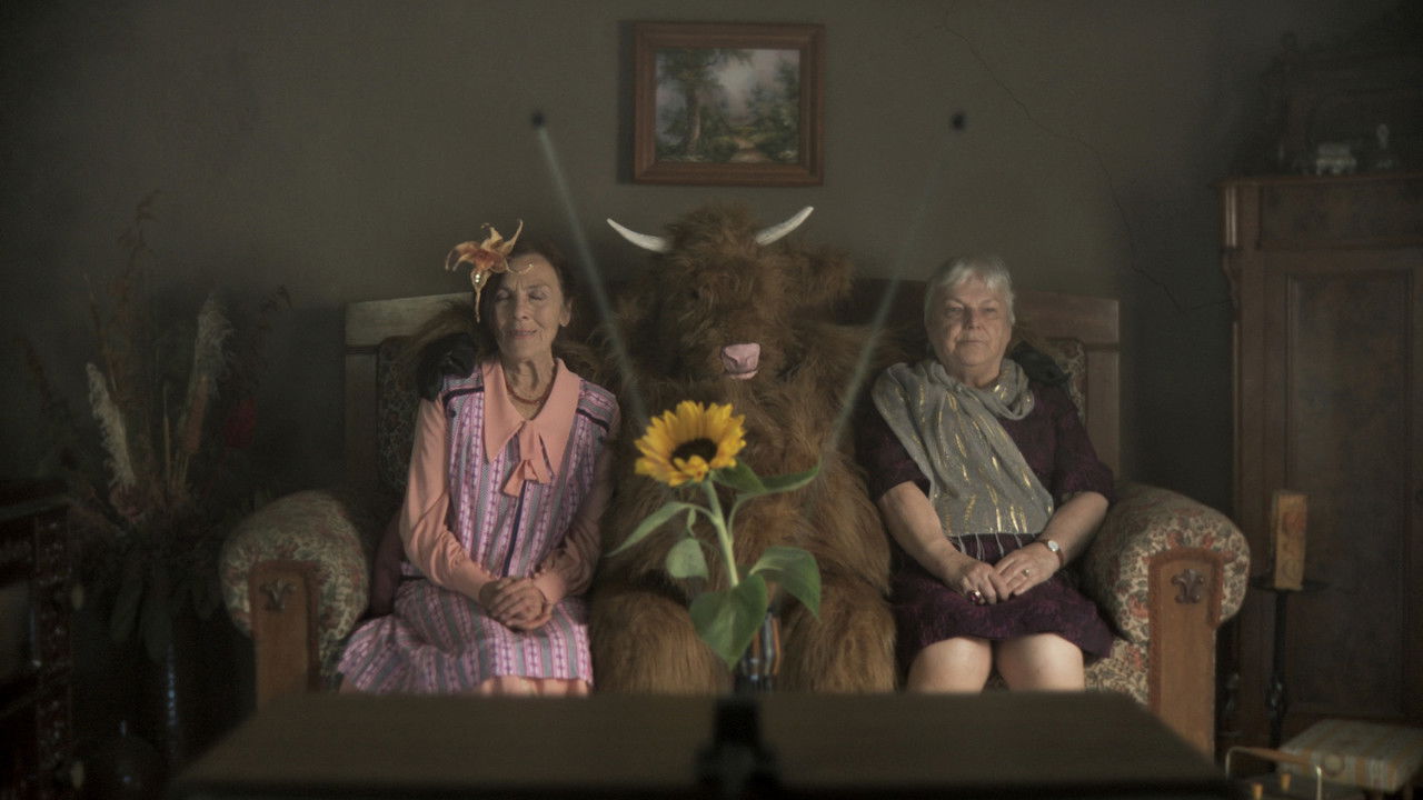 Ottilias Ochse backdrop