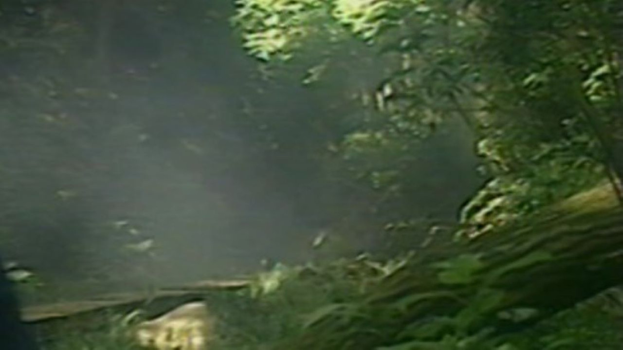 Youjo Melon backdrop