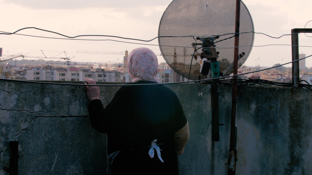 The Mother of All Lies backdrop