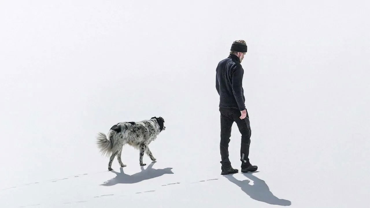 A Flower of Mine backdrop