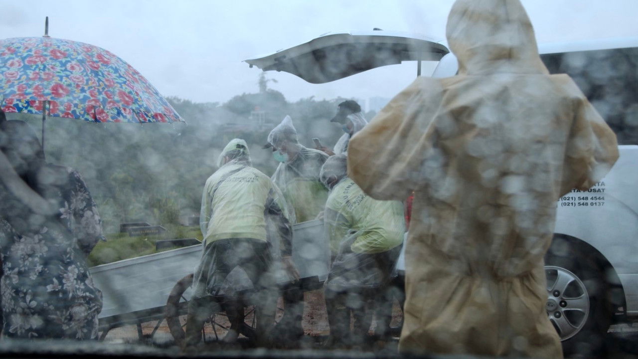 Agave Amica backdrop