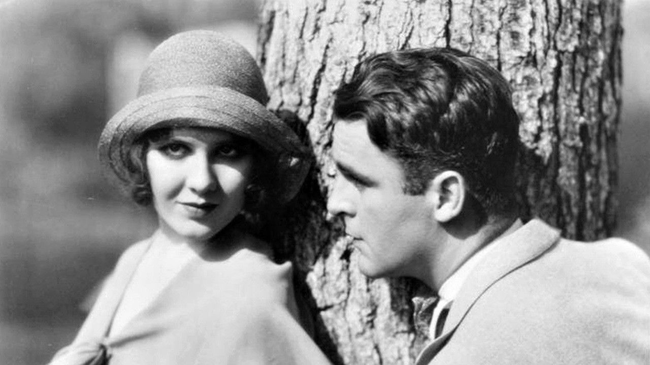 The Kibitzer backdrop