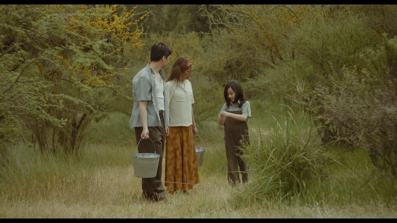 Summer Days backdrop