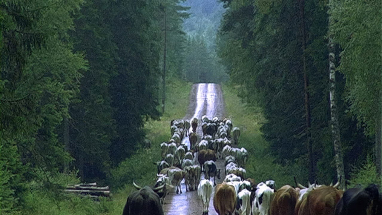 Way of Nature backdrop