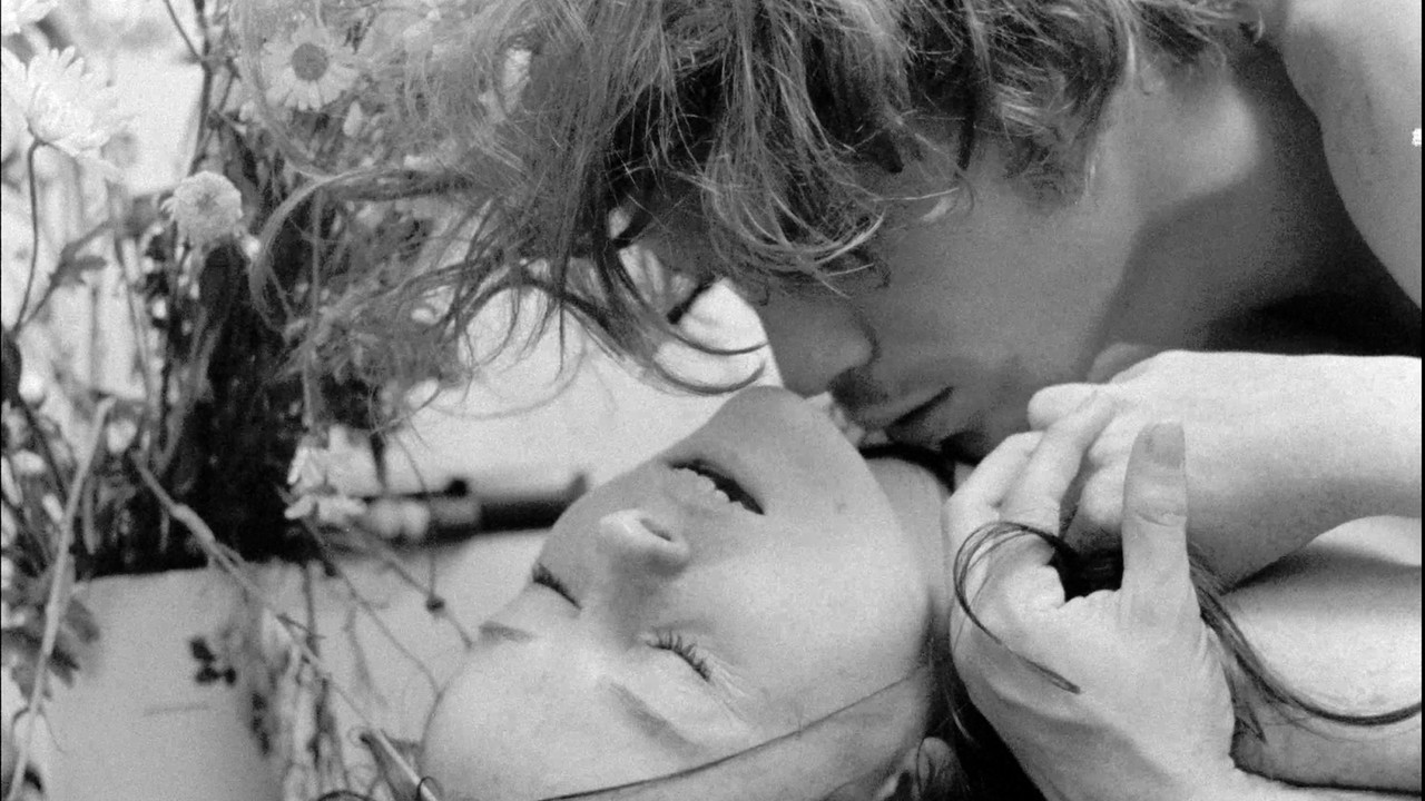 Amor e Medo backdrop