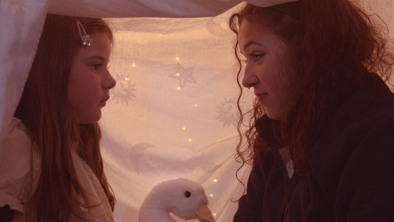 ¡Shish, shish! backdrop