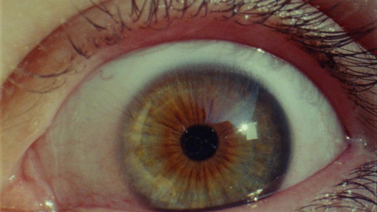 Prelude to Ecstasy backdrop