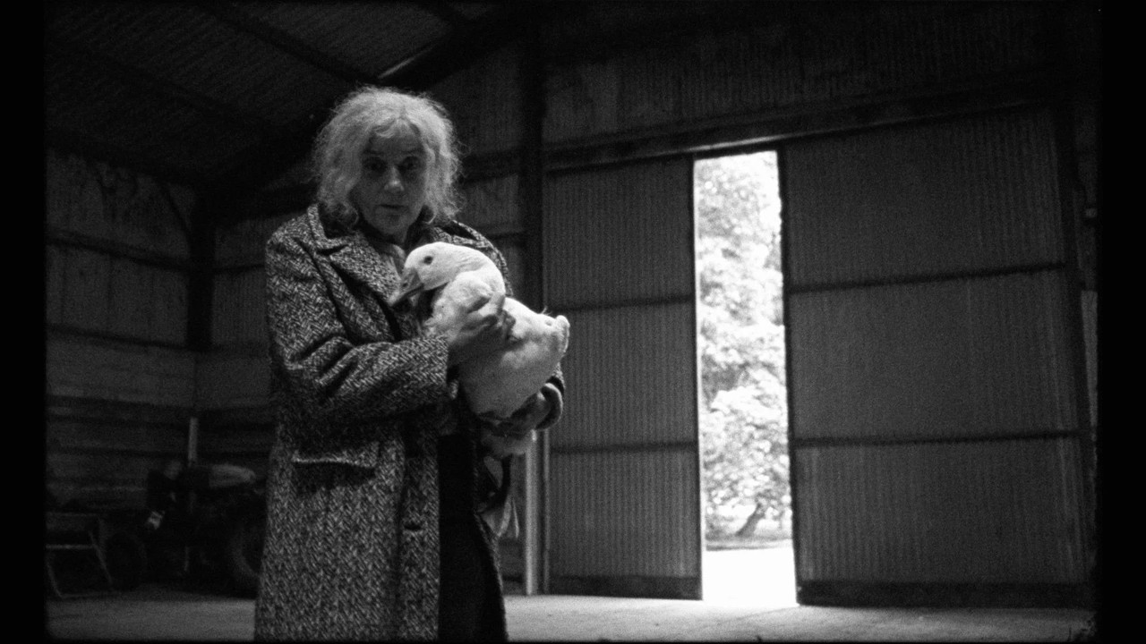 Mother Goose backdrop