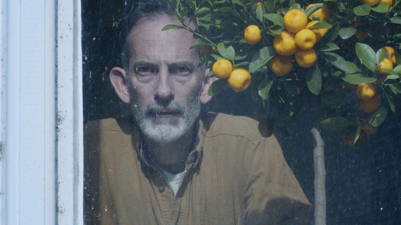 In The Moonlight backdrop