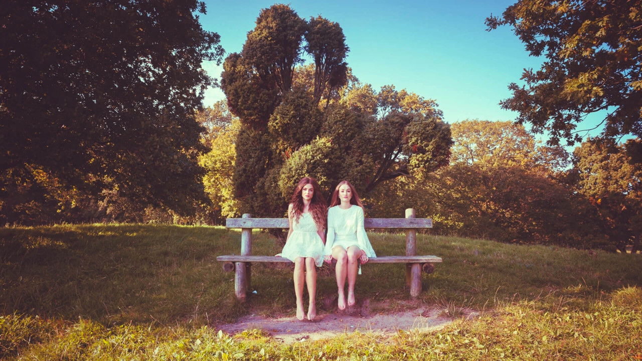 Steven Wilson: 4 ½ backdrop