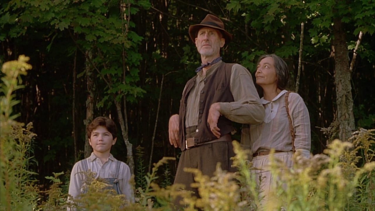 The Education of Little Tree backdrop