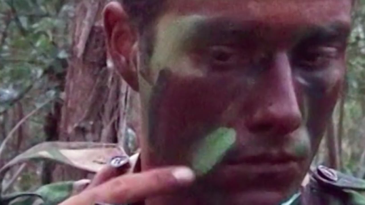 Where Do You Stand Now, João Pedro Rodrigues? backdrop