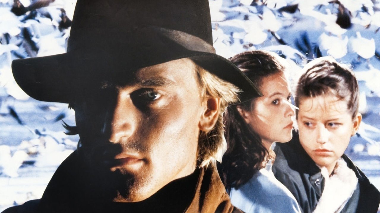 In the Shadow of the Wind backdrop