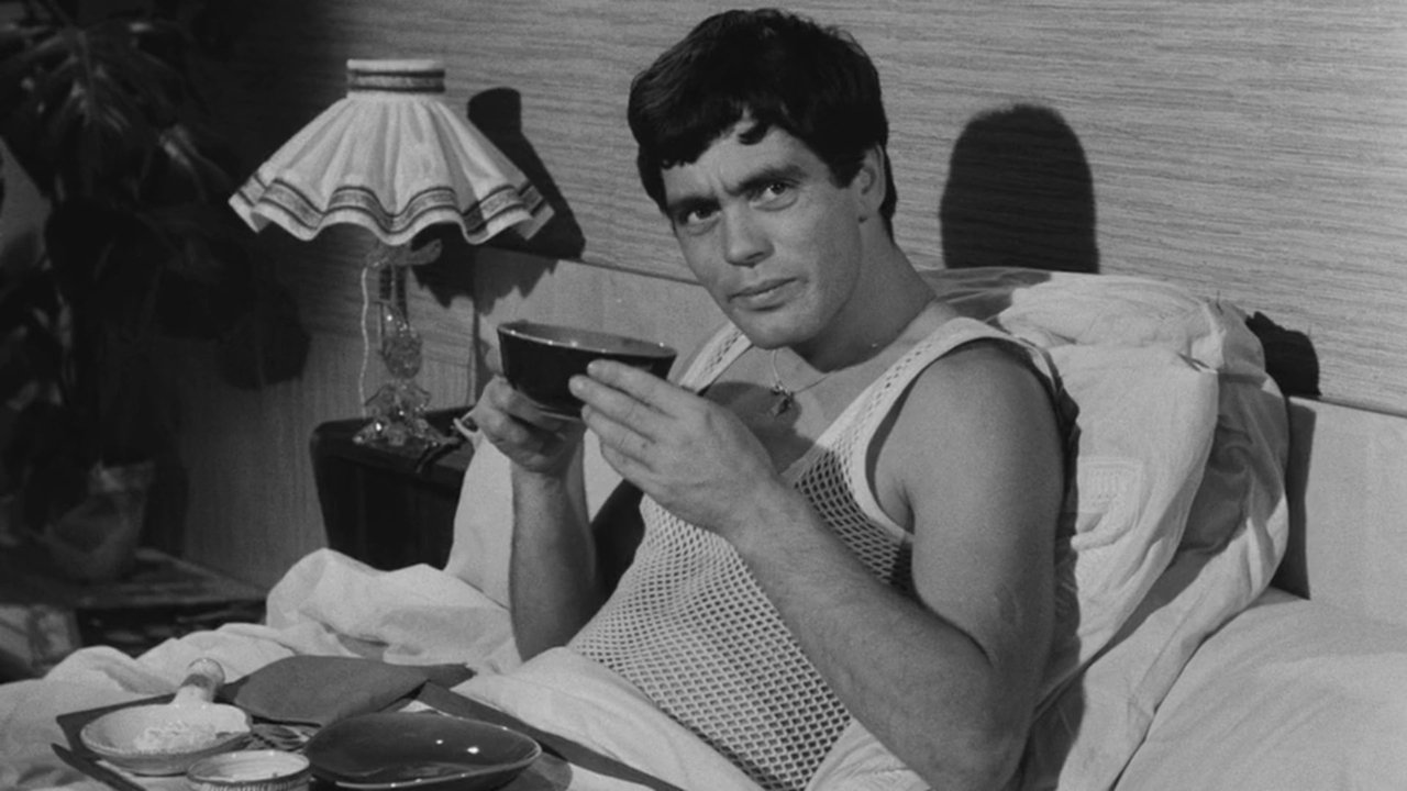 Chicken Feed for Little Birds backdrop