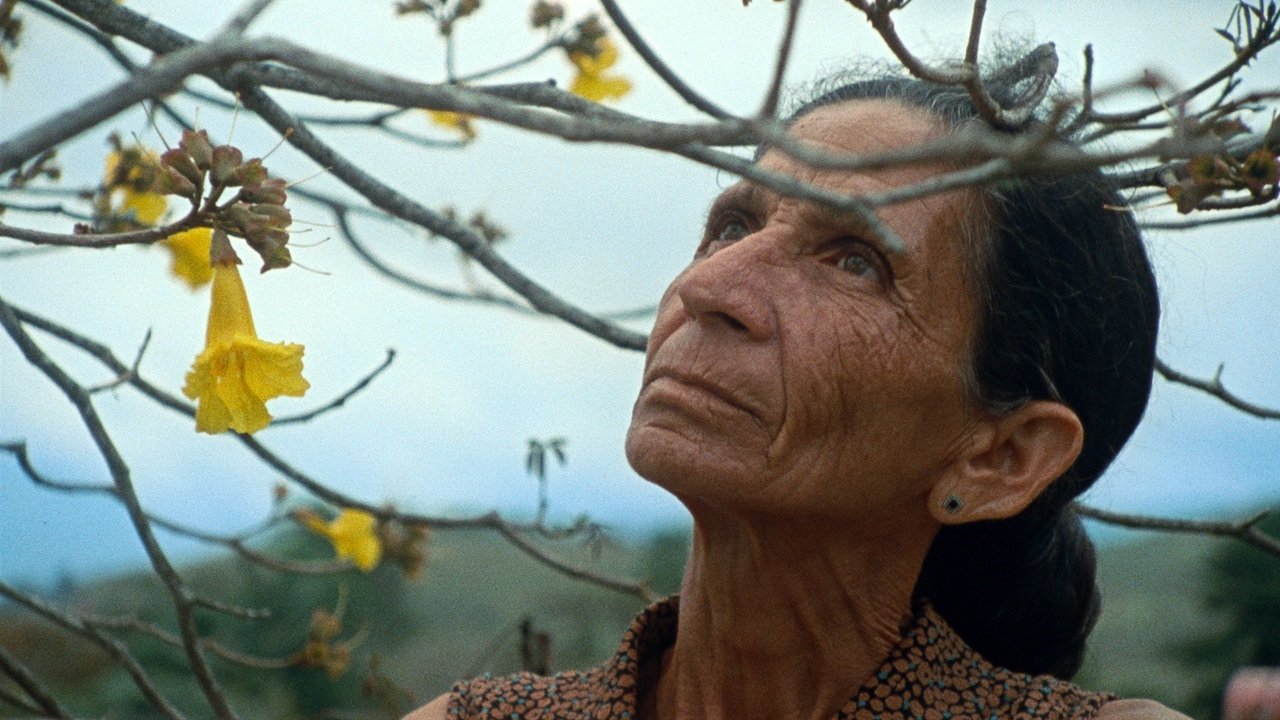 Pasta Negra backdrop