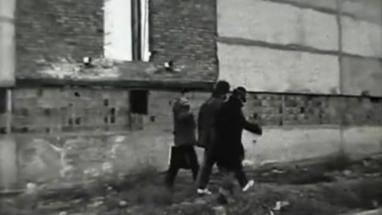 Provincial Life backdrop