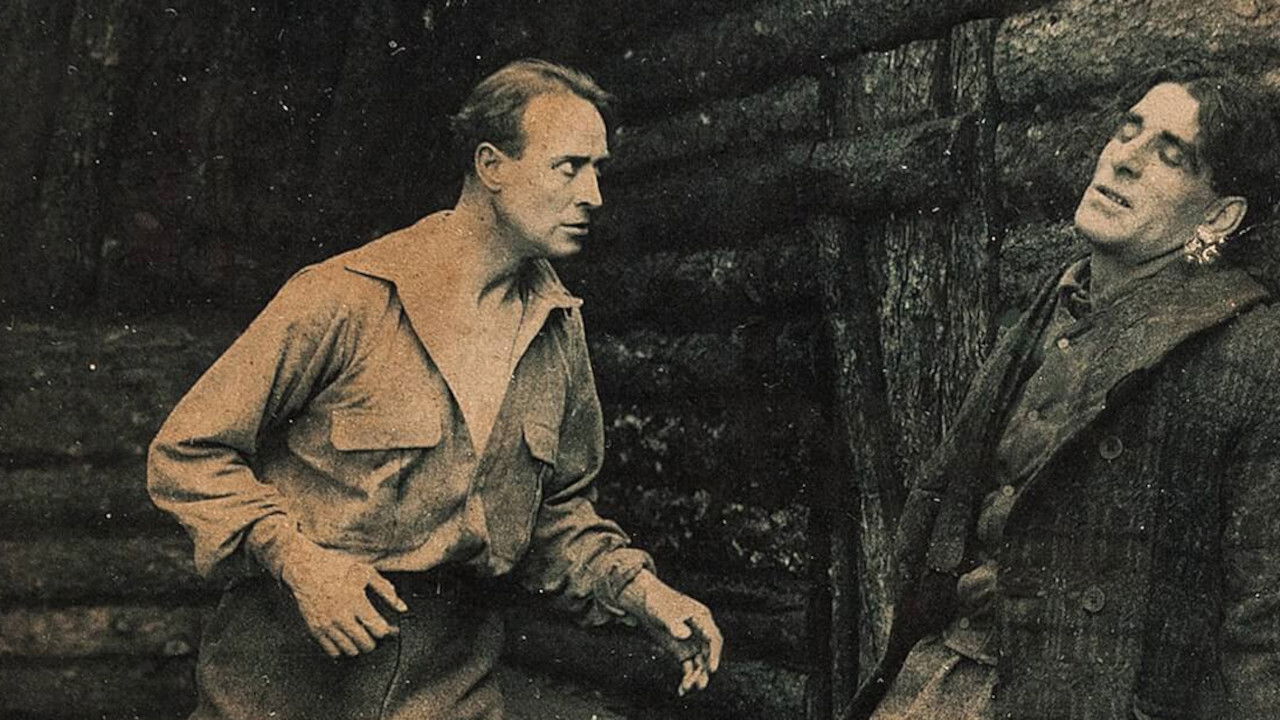 Danger Trail backdrop