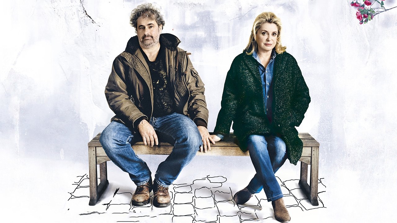 In the Courtyard backdrop