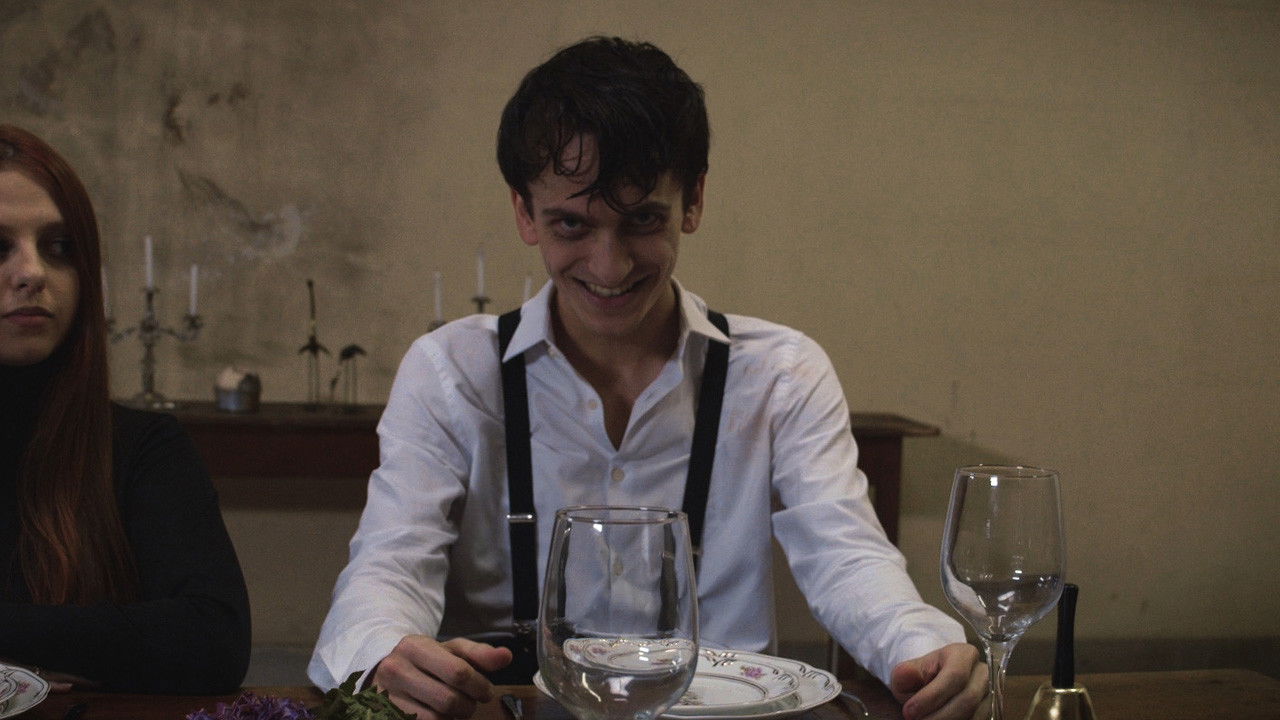 Floresta da luz backdrop