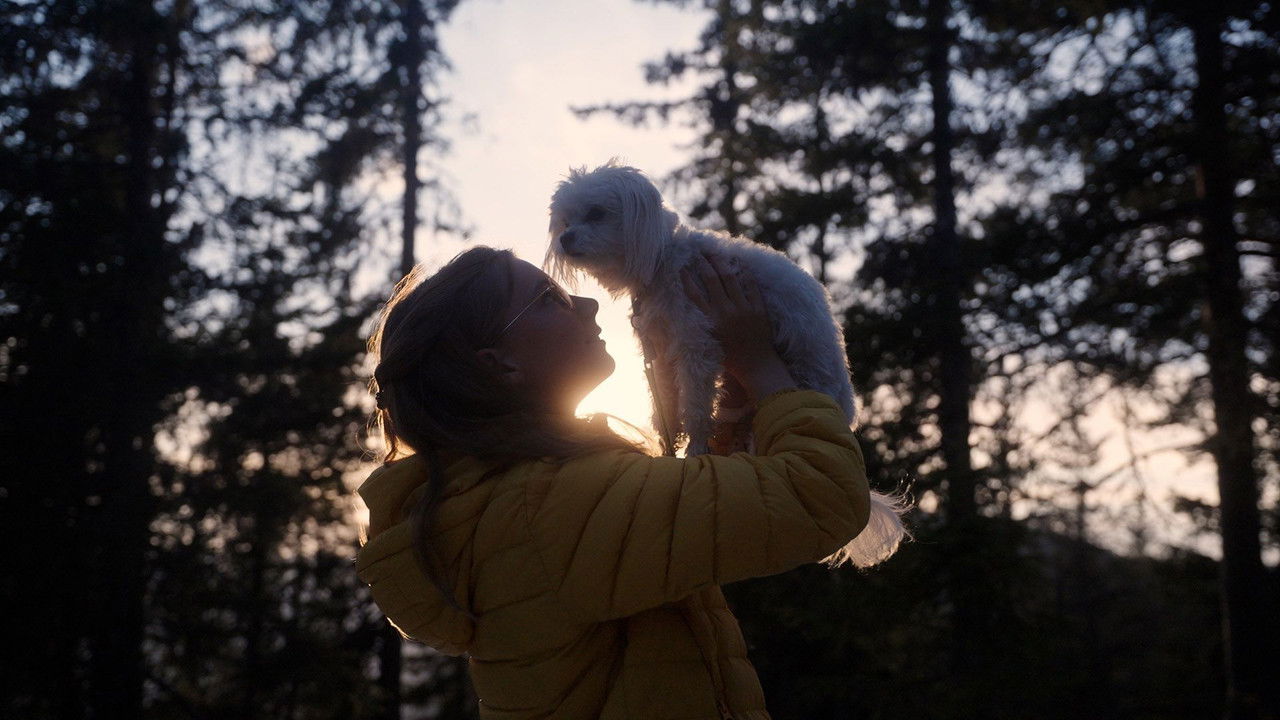 Small Dogs Bark Loud backdrop