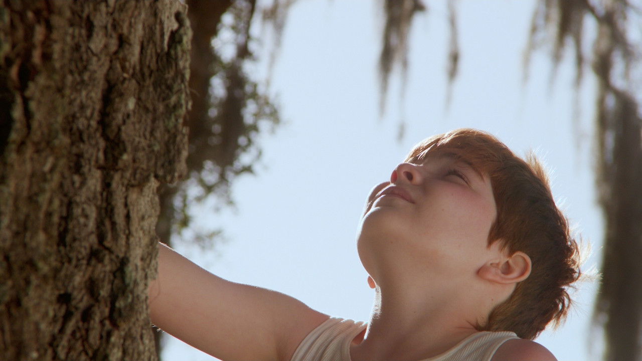 Tony and the Tree backdrop