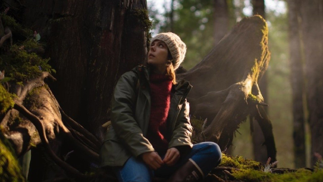 The Island Between Tides backdrop