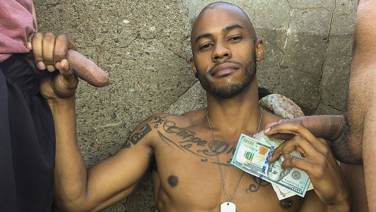 Latin Leche 17 backdrop