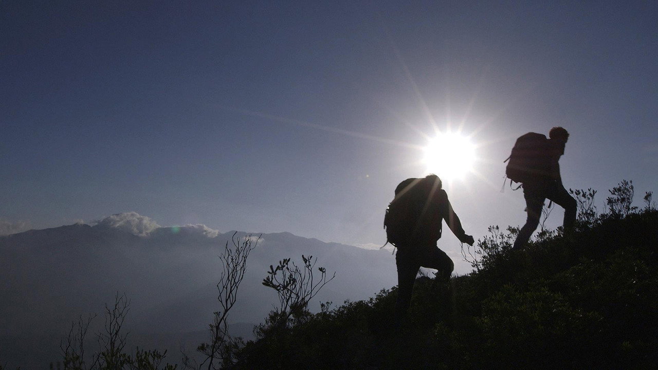 De helden van Arnout backdrop